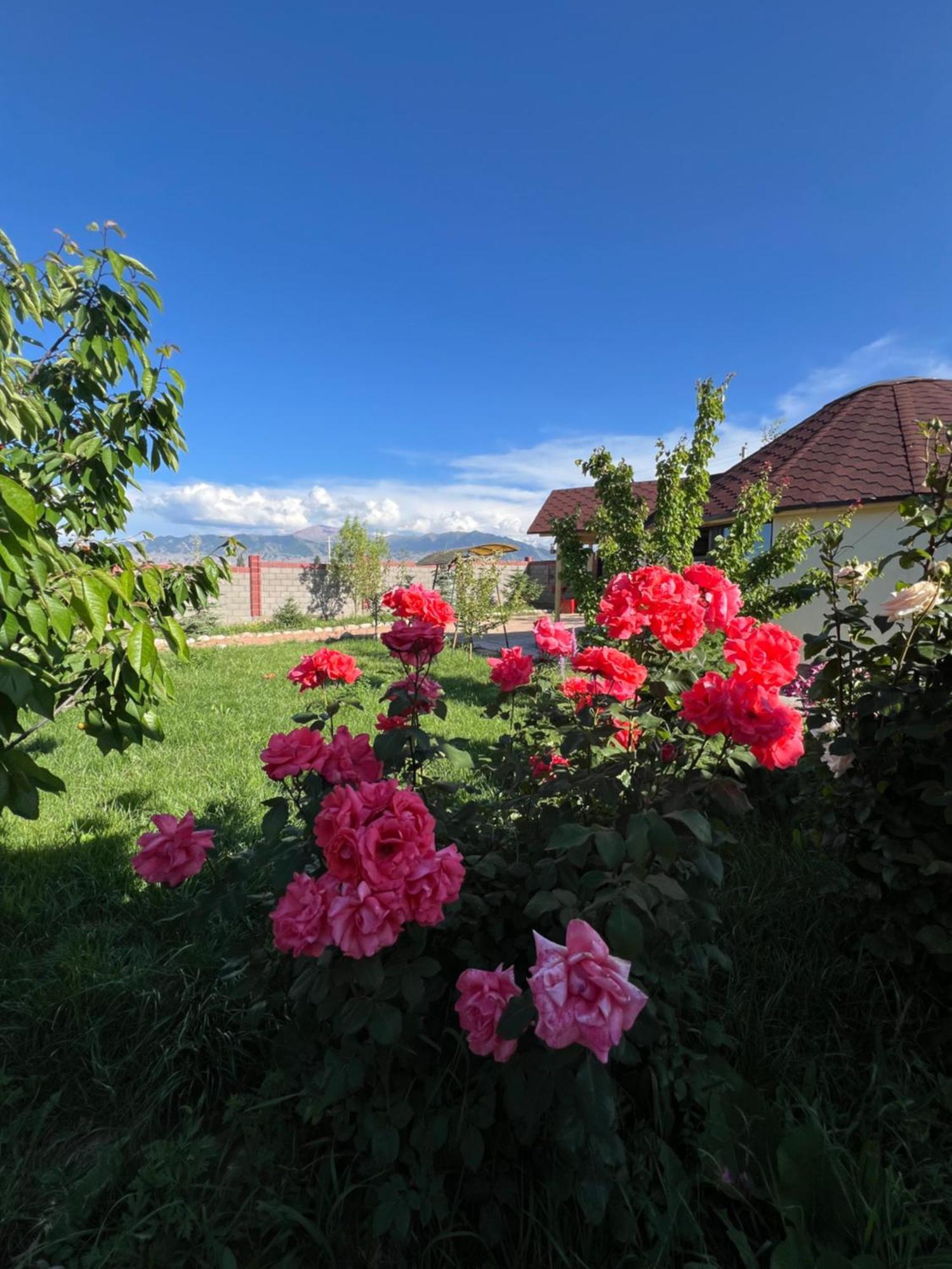 Svetlana Guest House Bokonbayevo Luaran gambar