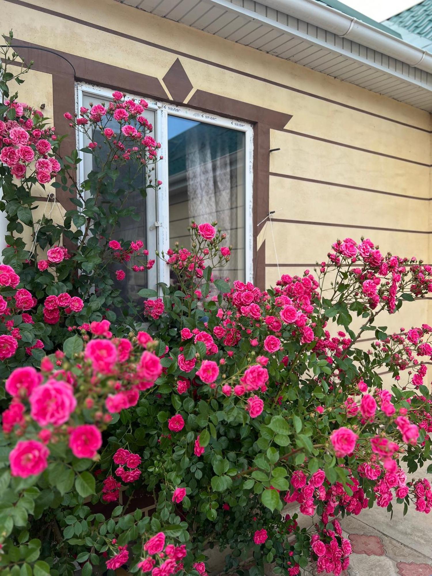 Svetlana Guest House Bokonbayevo Luaran gambar