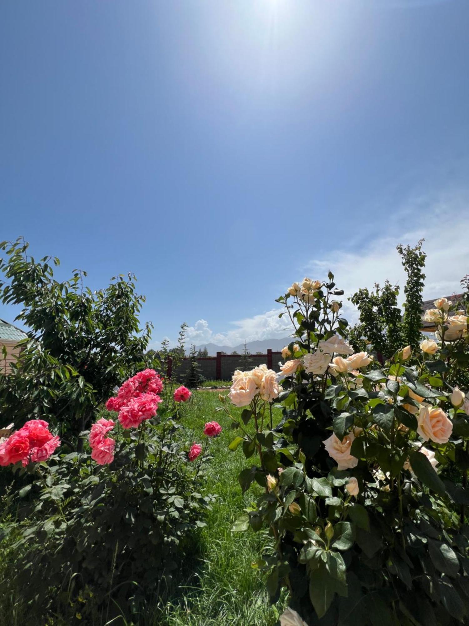 Svetlana Guest House Bokonbayevo Luaran gambar